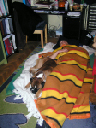PICT0070