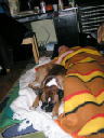 PICT0071